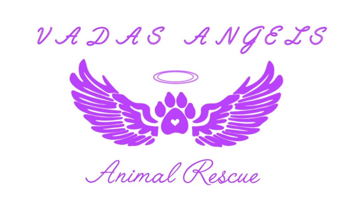 custom_image/1699816352Vadas Angels_logo.jpg